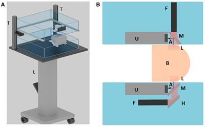 Second-Generation Dual Scan Mammoscope With Photoacoustic, Ultrasound, and Elastographic Imaging Capabilities